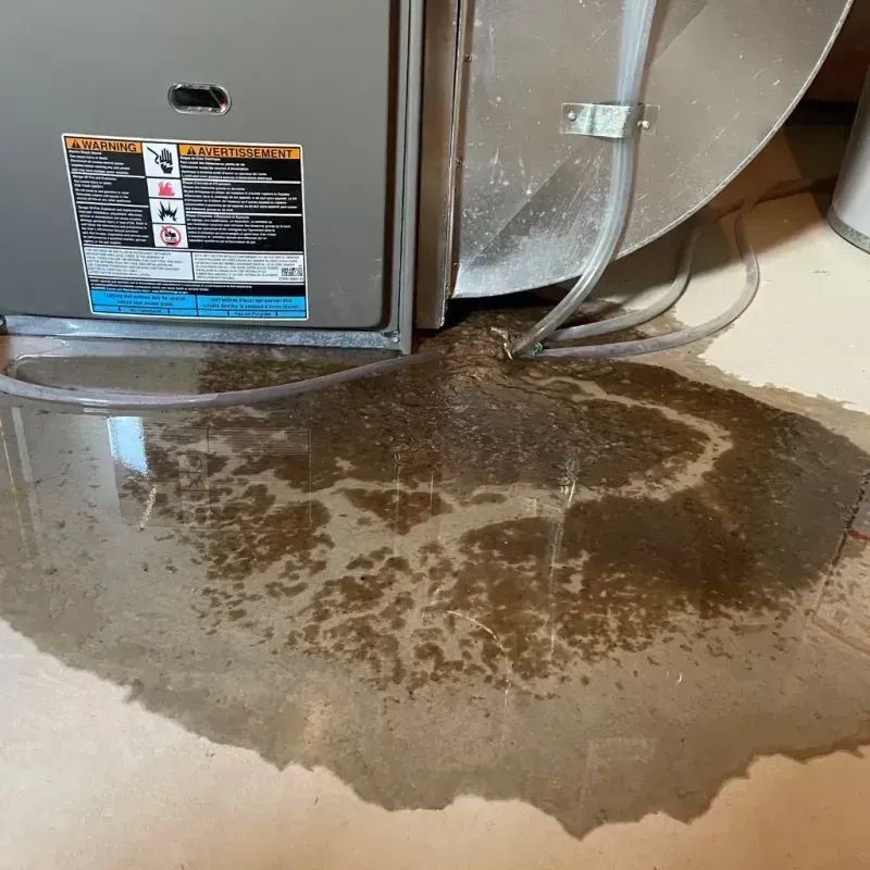 Appliance Leak Cleanup in Lakeside, TX